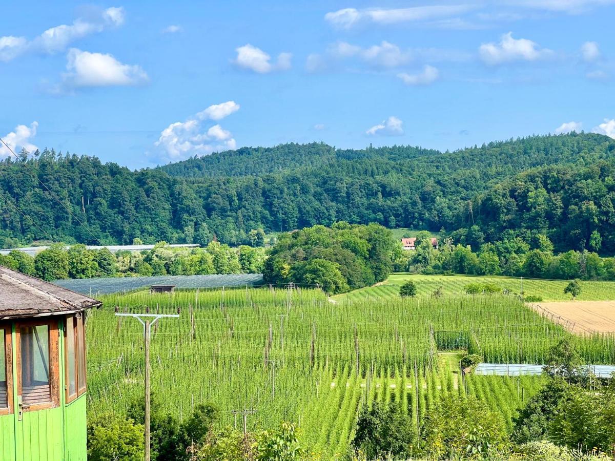 Einzigartiger Panoramablick, Bodensee Und Messe In Der Naehe Tettnang Bagian luar foto